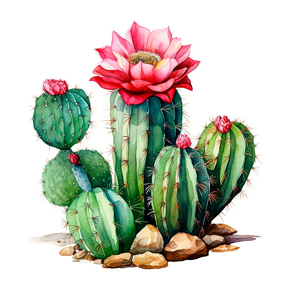Bügelbild Kaktus