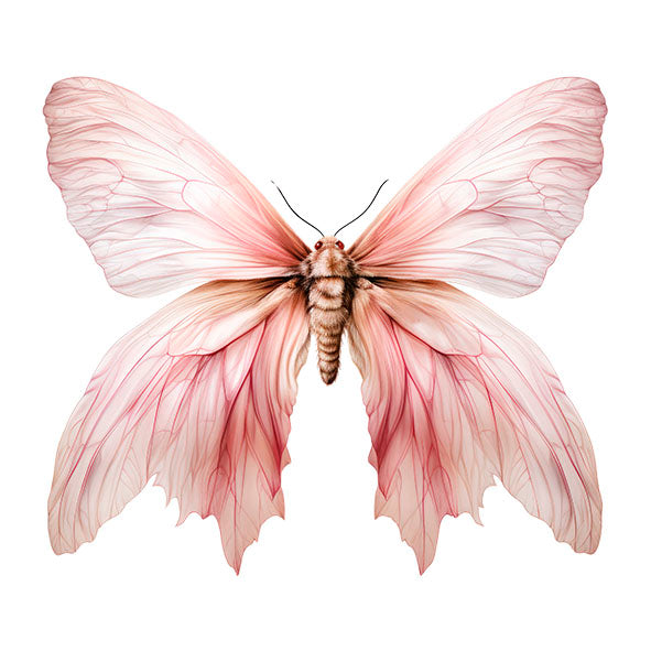 Bügelbild Schmetterling 4