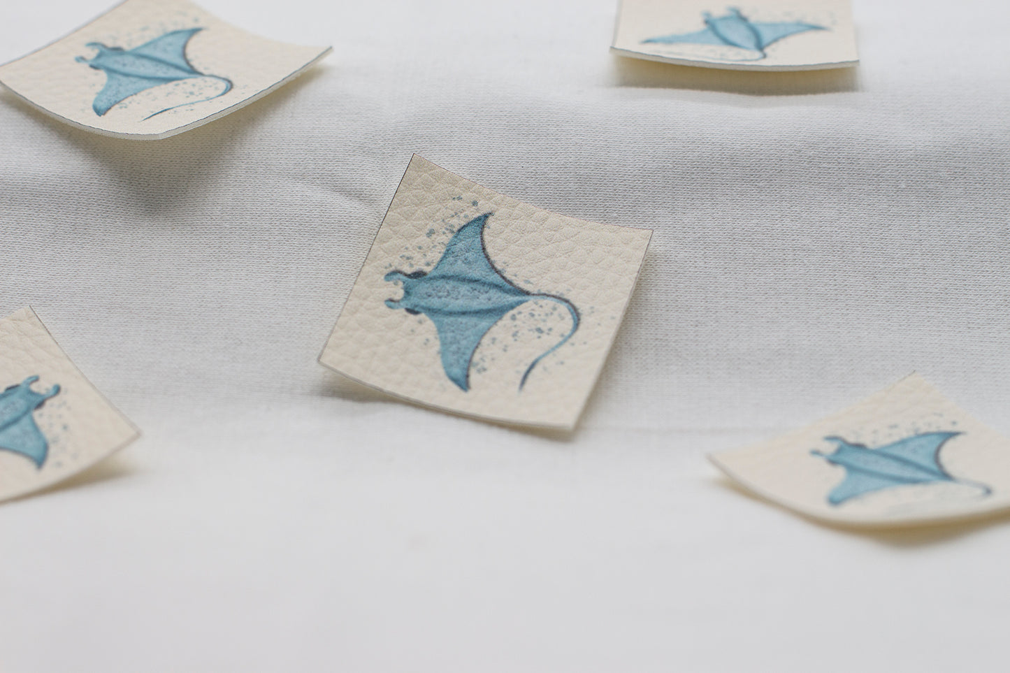 Label farbig, Rochen