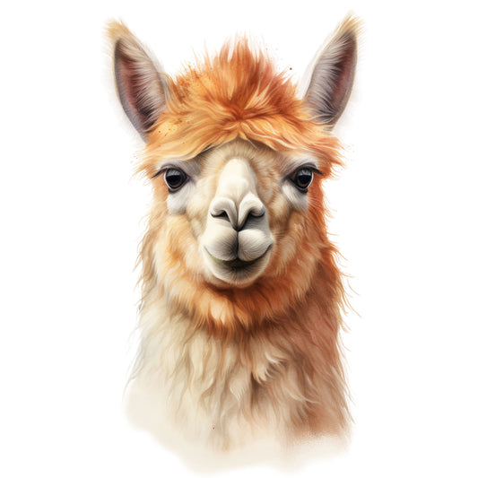 Bügelbild Lama 3
