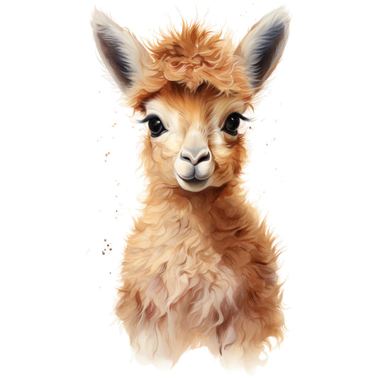 Bügelbild Lama 4